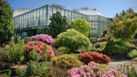 Botanická zahrada lk